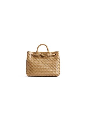 Bottega Veneta Small Andiamo